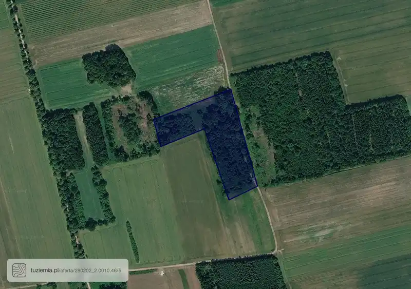 Działka na sprzedaż Pęciszewo