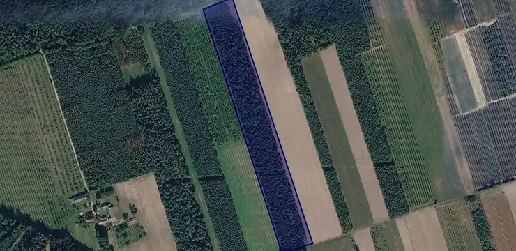 Działka na sprzedaż - MAZOWIECKIE, grójecki, Nowe Miasto nad Pilicą, Wierzchy 28