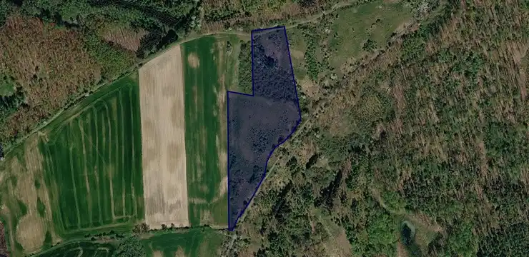 Działka na sprzedaż - ZACHODNIOPOMORSKIE, gryfiński, Chojna, Brwice 145/3