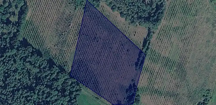 Działka na sprzedaż - DOLNOŚLĄSKIE, legnicki, Chojnów, Zamienice 217
