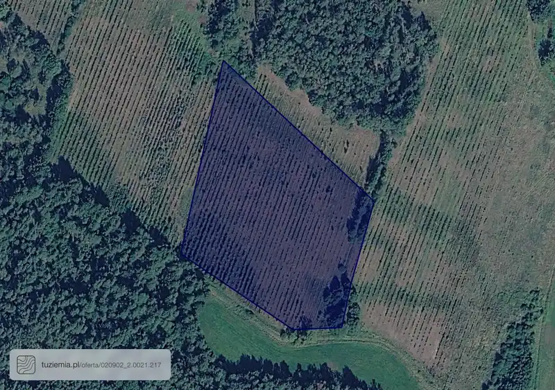 Działka na sprzedaż Zamienice