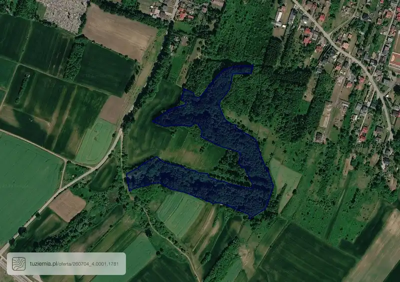 Działka na sprzedaż Ćmielów - Miasto