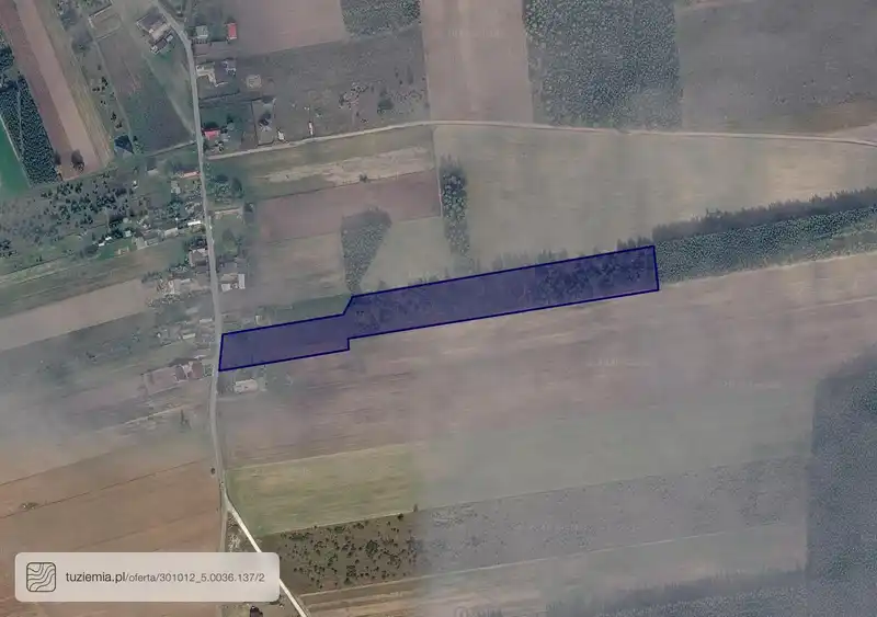 Działka na sprzedaż Żółwieniec