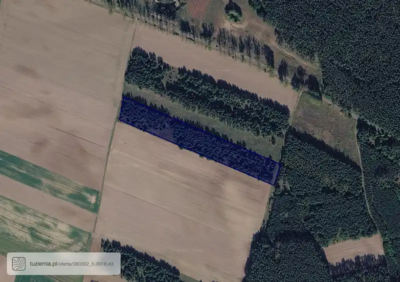 Działka na sprzedaż Szumiąca