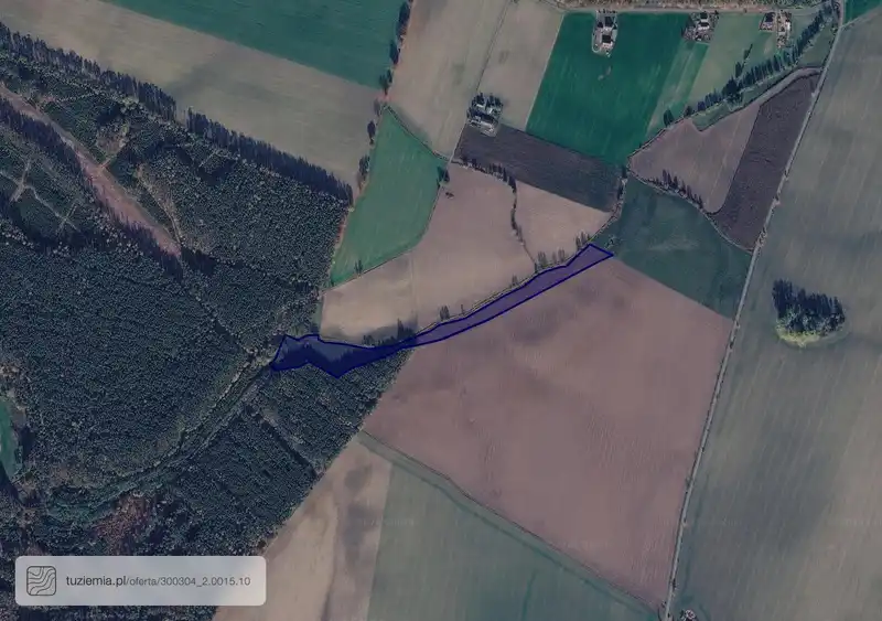 Działka na sprzedaż Rybieniec