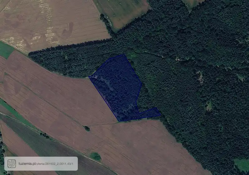 Działka na sprzedaż Łogdowo