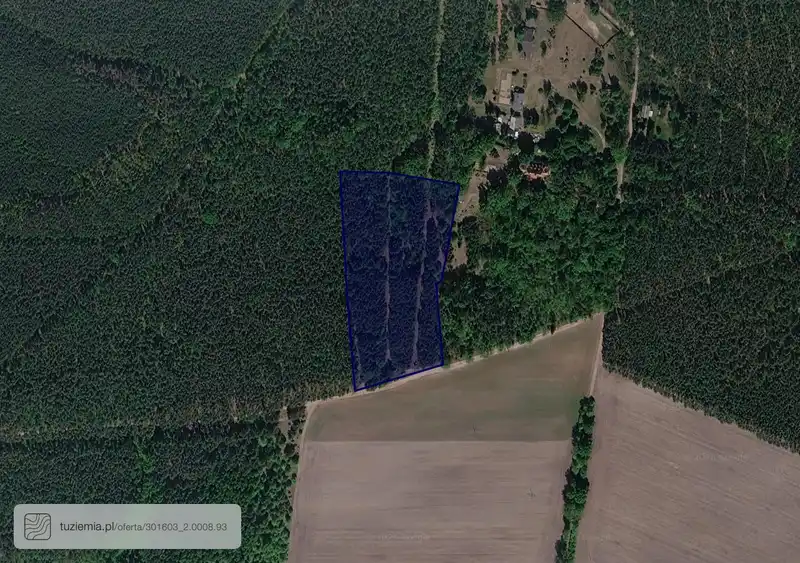 Działka na sprzedaż Ludomicko