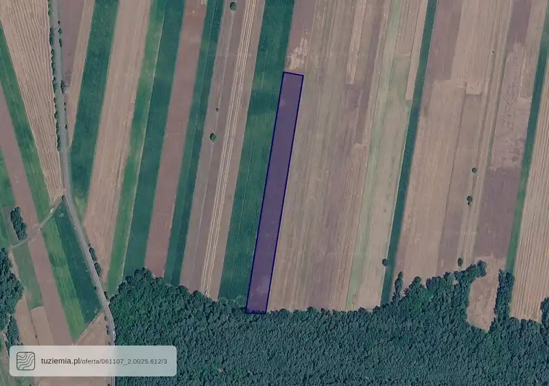 Działka na sprzedaż Wesołówka