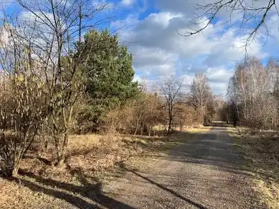 Zdjęcie 7