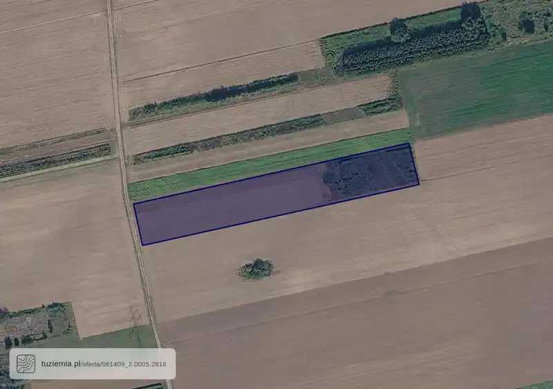 Działka na sprzedaż Gołąb