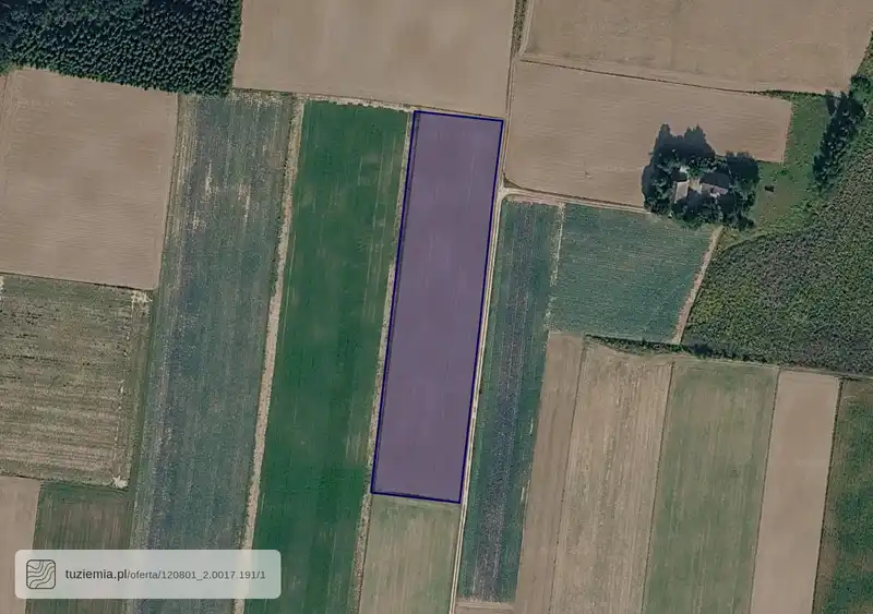 Działka na sprzedaż Witowice