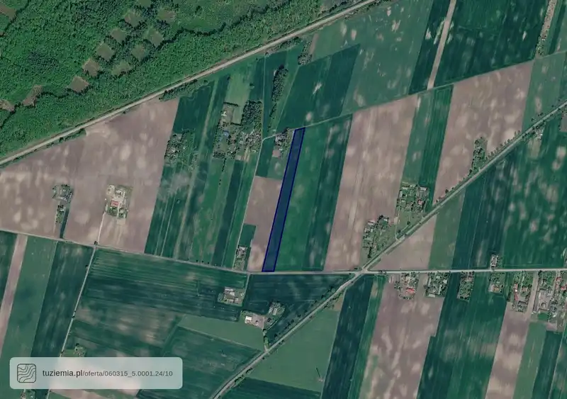 Działka na sprzedaż Adamów Kolonia