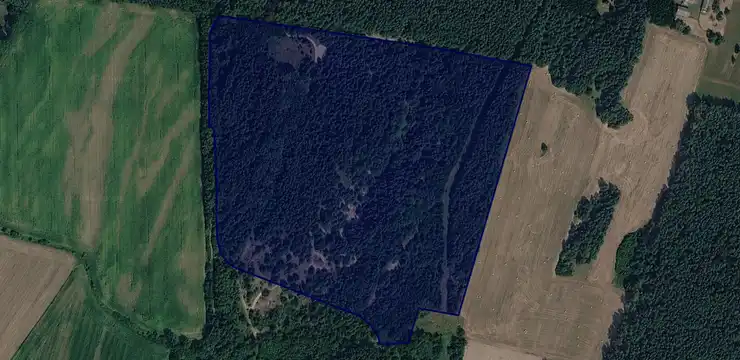 Działka na sprzedaż - WIELKOPOLSKIE, ostrzeszowski, Ostrzeszów, Olszyna 233