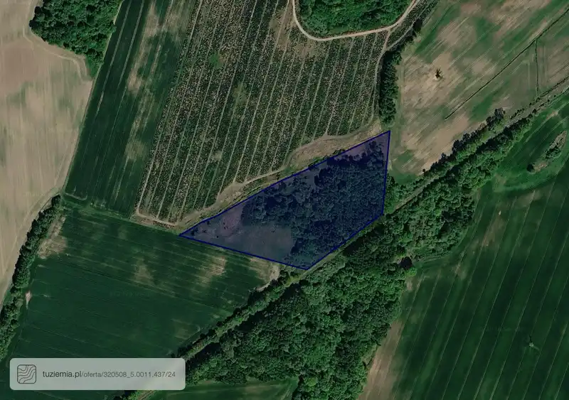 Działka na sprzedaż Bieczyno