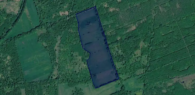 Działka na sprzedaż - WIELKOPOLSKIE, grodziski, Kamieniec, Sepno 93/1