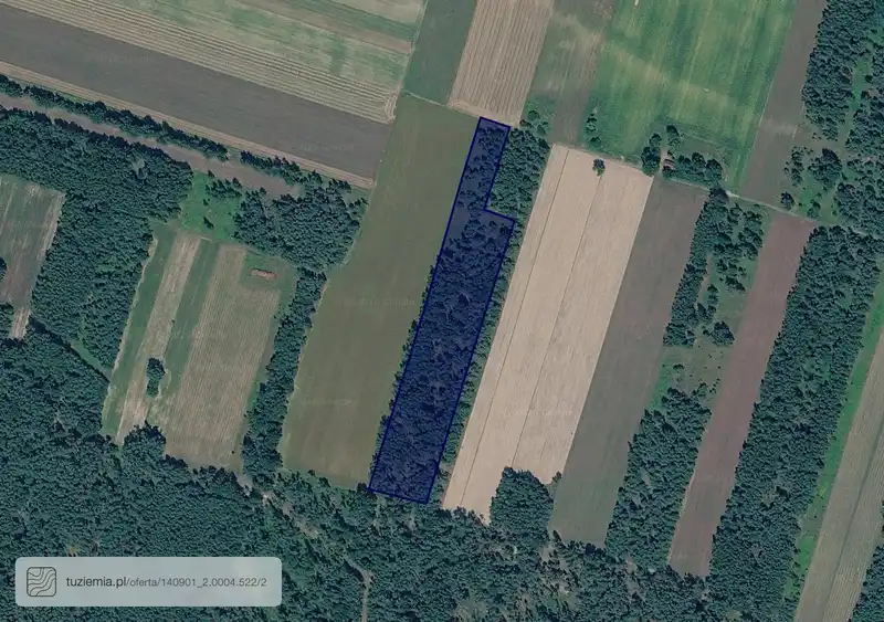 Działka na sprzedaż Chotcza Górna