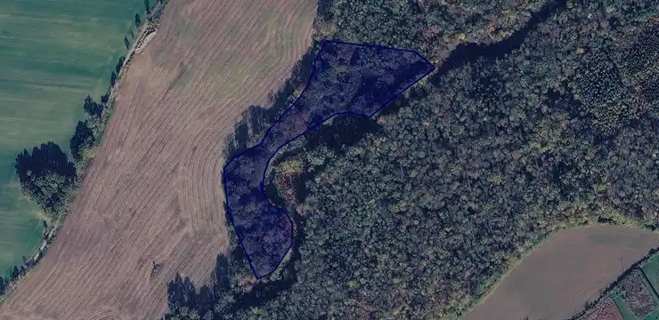 Działka na sprzedaż - DOLNOŚLĄSKIE, świdnicki, Żarów, Zastruże 151