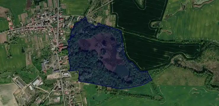 Działka na sprzedaż - ZACHODNIOPOMORSKIE, gryfiński, Moryń, Witnica 138/2