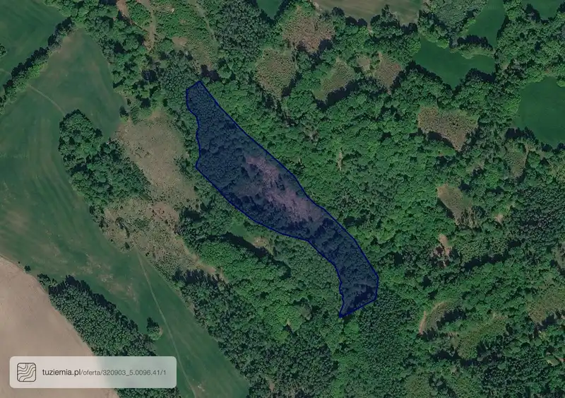 Działka na sprzedaż Drzewiany