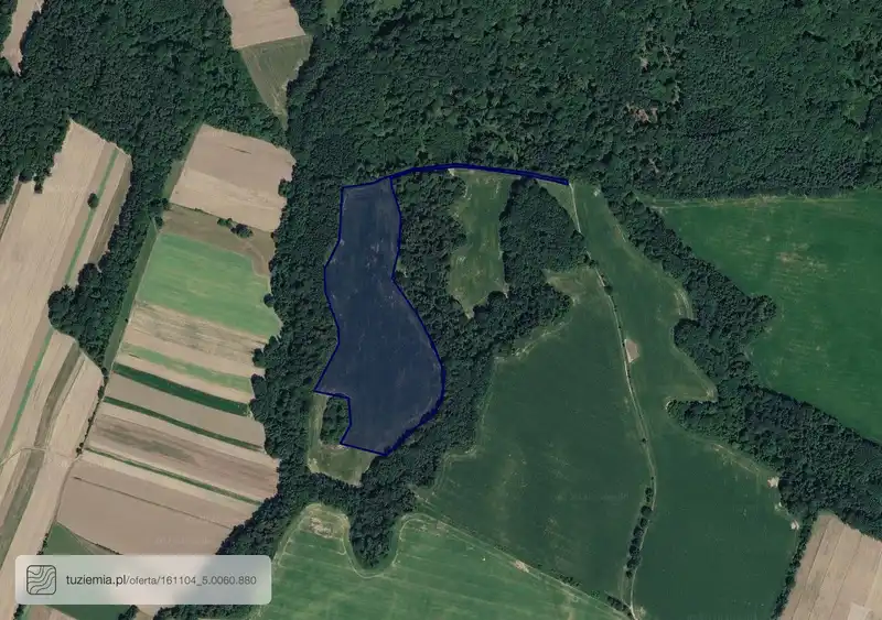 Działka na sprzedaż Lichynia