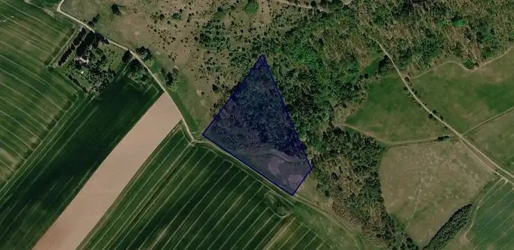 Działka na sprzedaż - DOLNOŚLĄSKIE, kłodzki, Radków, Suszyna 166/3