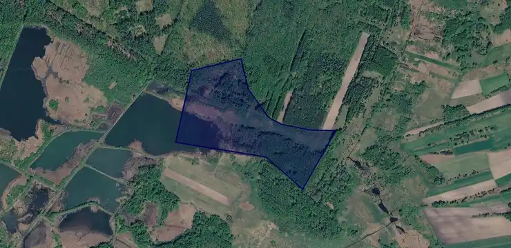 Działka na sprzedaż - LUBELSKIE, chełmski, Rejowiec, 208