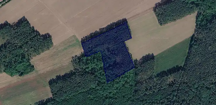 Działka na sprzedaż - WIELKOPOLSKIE, wolsztyński, Przemęt, Kaszczor 837/3