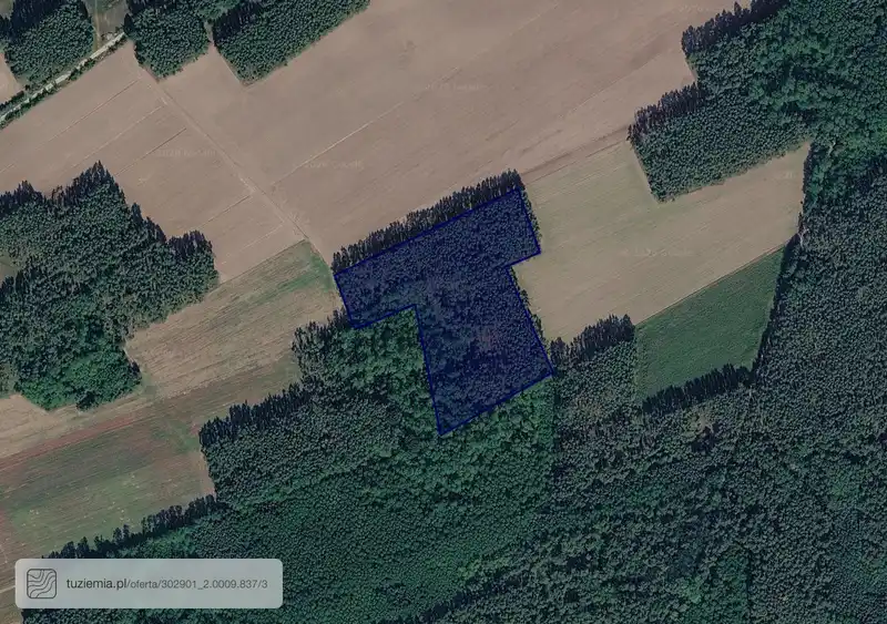 Działka na sprzedaż Kaszczor