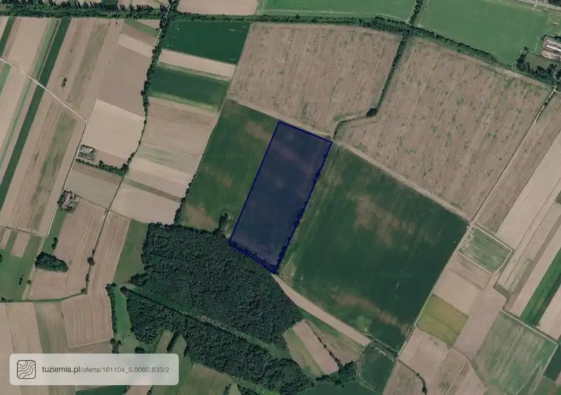 Działka na sprzedaż Lichynia