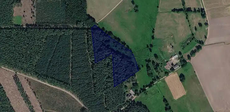 Działka na sprzedaż - WIELKOPOLSKIE, grodziski, Rakoniewice, Kuźnica Zbąska 147/1