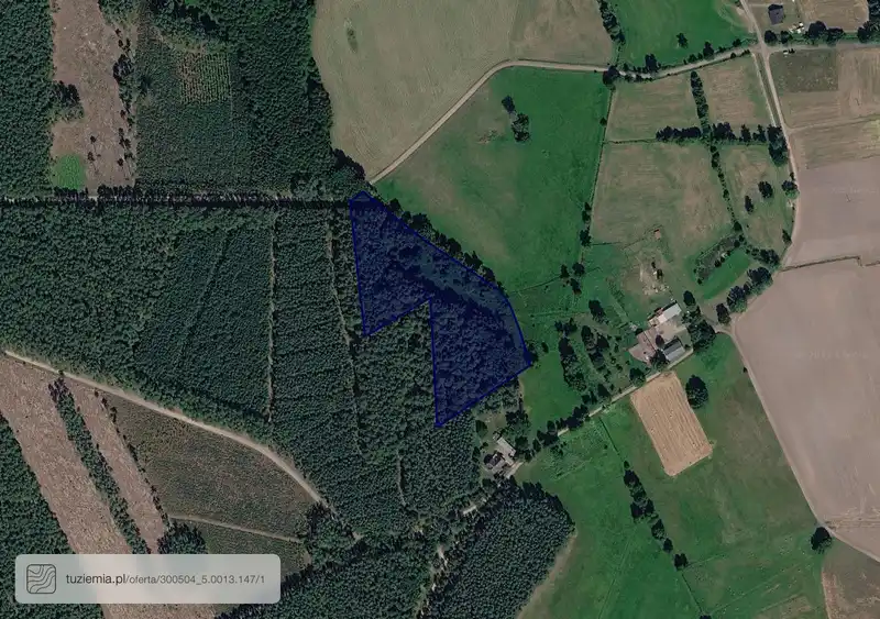 Działka na sprzedaż Kuźnica Zbąska