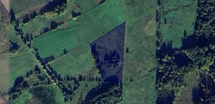 Działka na sprzedaż - ZACHODNIOPOMORSKIE, gryficki, Karnice, Węgorzyn 16