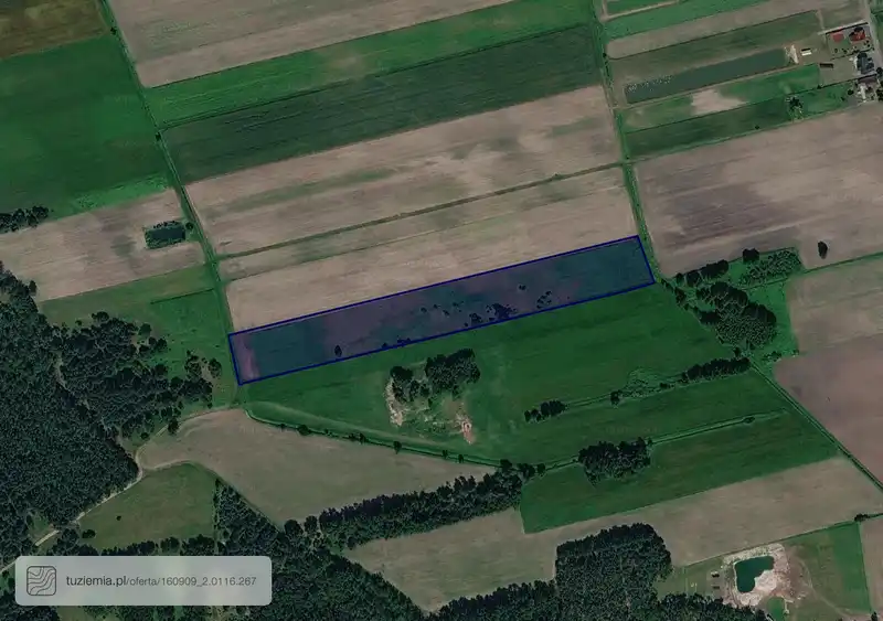 Działka na sprzedaż Lubienia