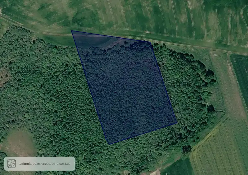 Działka na sprzedaż Licze