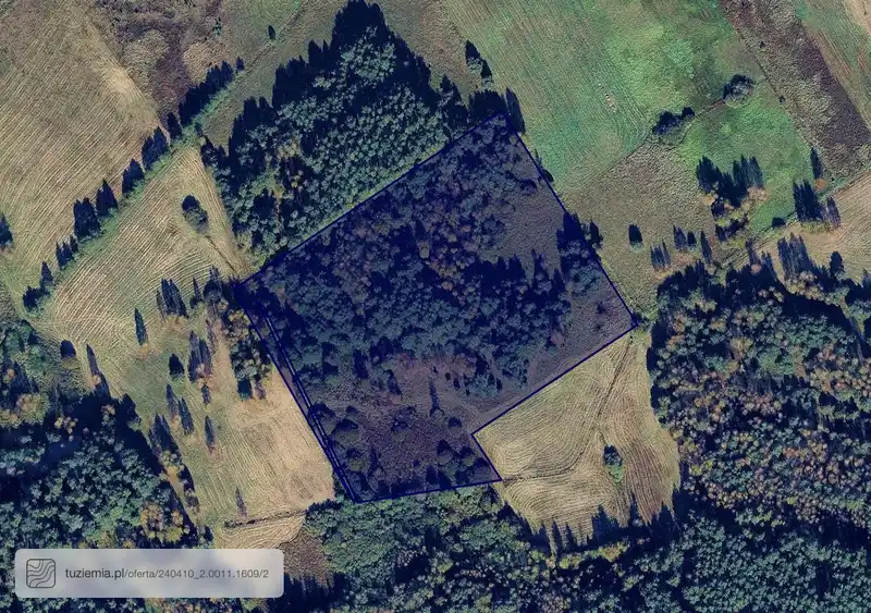 Działka na sprzedaż Krasice