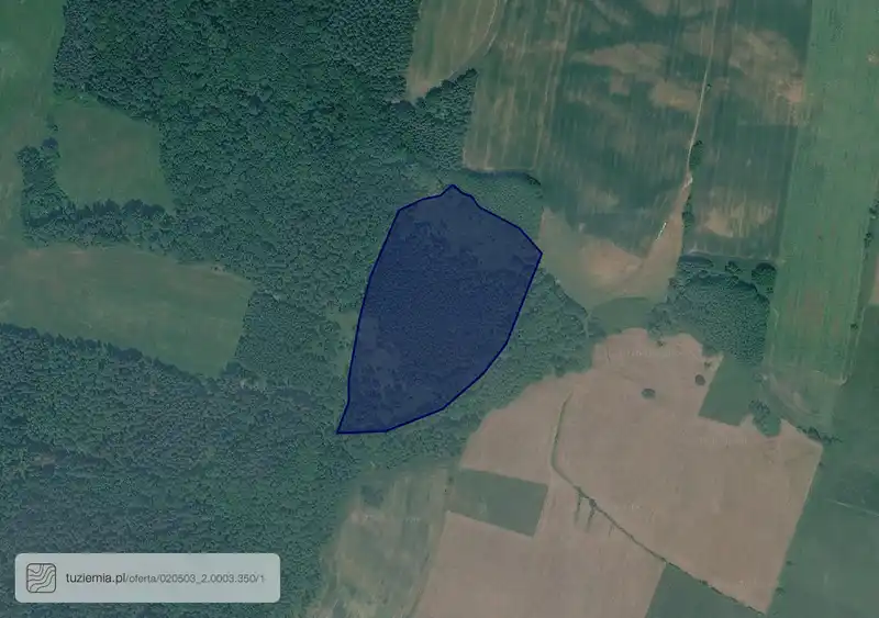 Działka na sprzedaż Kondratów