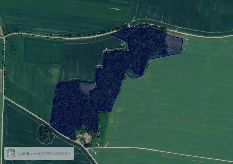 Działka na sprzedaż Ruja
