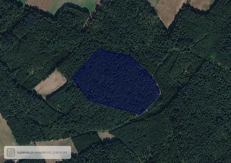 Działka na sprzedaż Nowa Wieś Dmochy