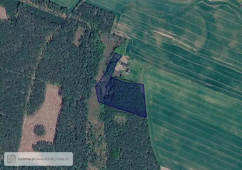 Działka na sprzedaż Krzywa Wieś
