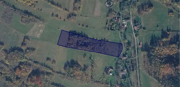 Działka na sprzedaż - DOLNOŚLĄSKIE, kamiennogórski, Marciszów, Pastewnik 295