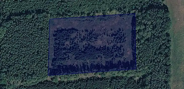Działka na sprzedaż - LUBUSKIE, żarski, Jasień, Golin 220