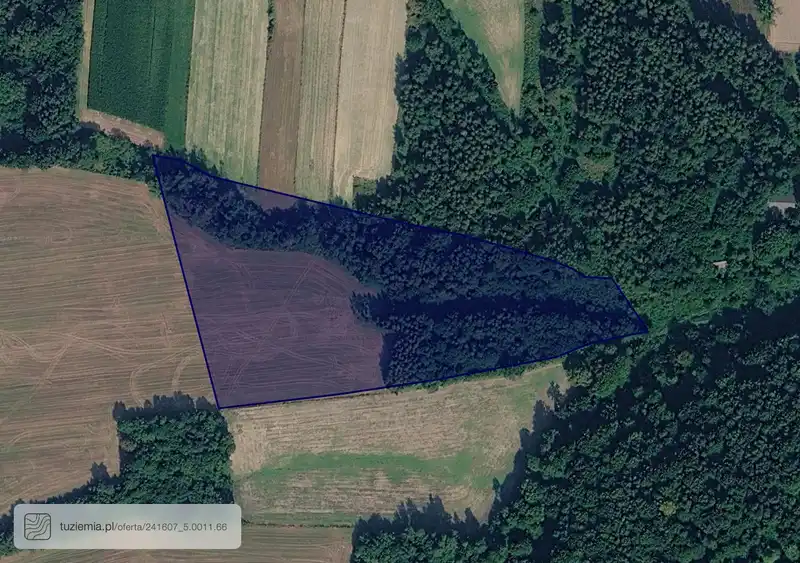 Działka na sprzedaż Kolonia Dobra