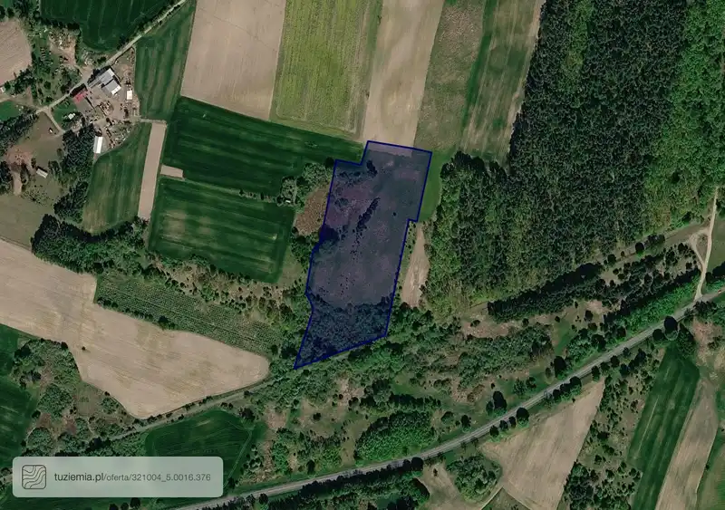 Działka na sprzedaż Dąbrowa