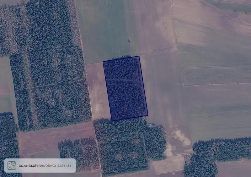 Działka na sprzedaż Husinka