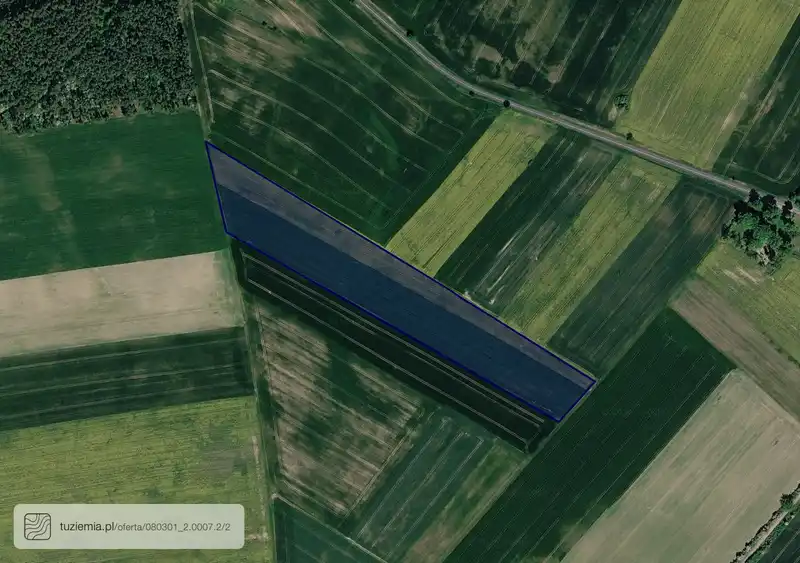 Działka na sprzedaż Sokola Dąbrowa