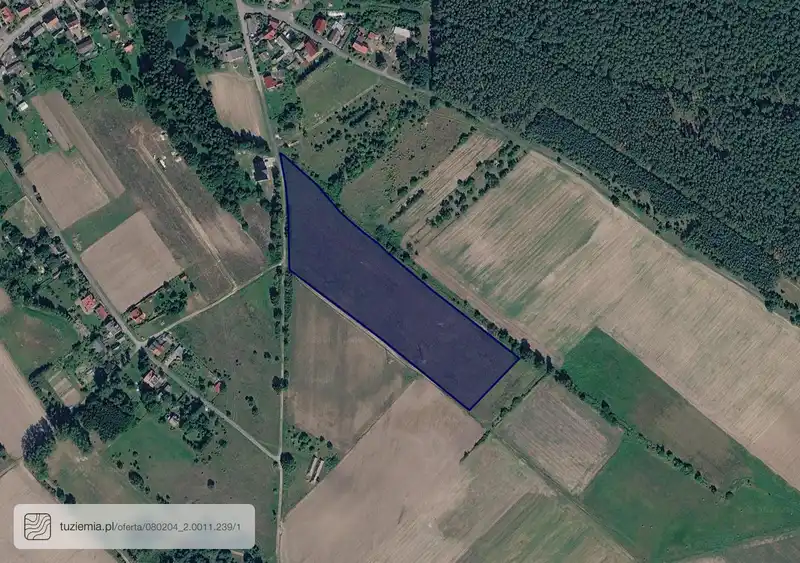 Działka na sprzedaż Nowy Zagór