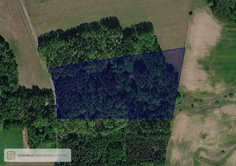 Działka na sprzedaż Plajny
