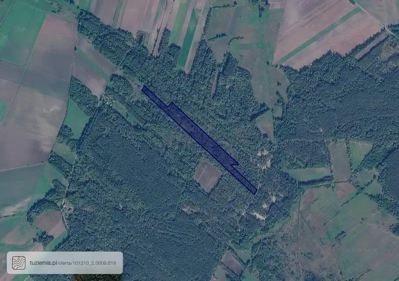 Działka na sprzedaż Kolonia Przerąb