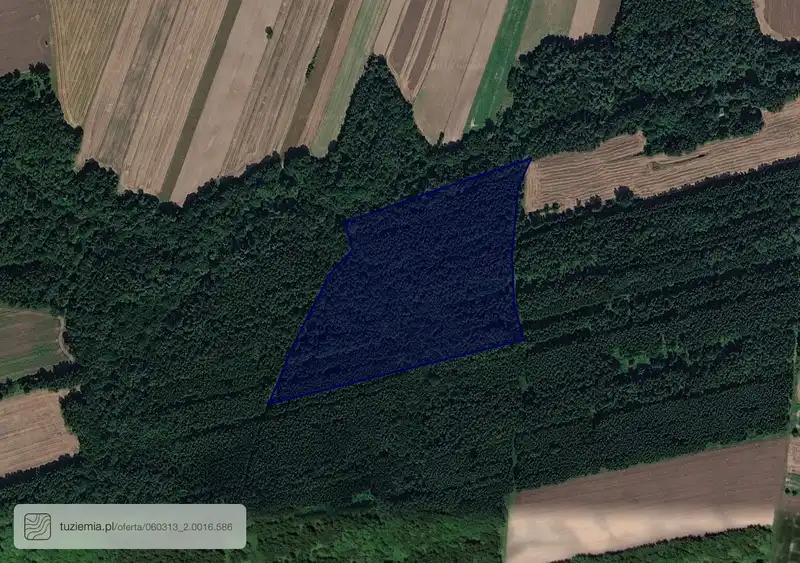 Działka na sprzedaż Stary Majdan