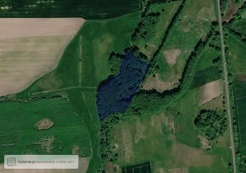 Działka na sprzedaż Wierzchlas